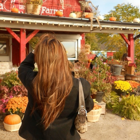 Meet your Posher, Fion - Picture 1 of 1